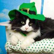 ヒメ日記 2026/03/15 21:26 投稿 ゆり 即プレイ専門店 性の極み