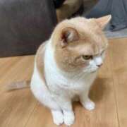 ヒメ日記 2026/03/26 09:36 投稿 ゆり 即プレイ専門店 性の極み