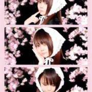 ヒメ日記 2026/03/29 23:26 投稿 ゆり 即プレイ専門店 性の極み