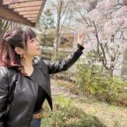 ヒメ日記 2026/03/31 17:16 投稿 ゆり 即プレイ専門店 性の極み