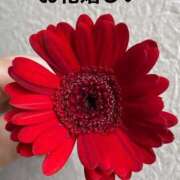 ヒメ日記 2025/04/27 13:40 投稿 るい 熟女の風俗最終章 町田店