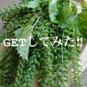 ヒメ日記 2025/10/23 16:28 投稿 るい 熟女の風俗最終章 町田店