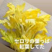 ヒメ日記 2025/12/03 10:30 投稿 るい 熟女の風俗最終章 町田店