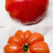 ヒメ日記 2026/01/14 18:29 投稿 るい 熟女の風俗最終章 町田店