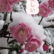 ヒメ日記 2026/02/08 10:20 投稿 るい 熟女の風俗最終章 町田店