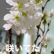 ヒメ日記 2025/03/15 08:21 投稿 るい 熟女の風俗最終章 相模原店