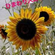 ヒメ日記 2025/09/03 19:21 投稿 るい 熟女の風俗最終章 相模原店