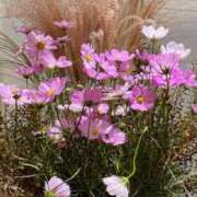 ヒメ日記 2025/10/12 18:27 投稿 るい 熟女の風俗最終章 相模原店