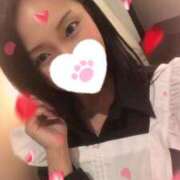 ヒメ日記 2025/02/19 00:46 投稿 響あかり ローテンブルク