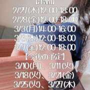 ヒメ日記 2025/02/26 23:52 投稿 響あかり ローテンブルク