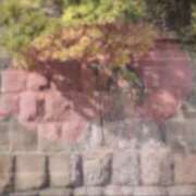 ヒメ日記 2025/03/22 22:26 投稿 響あかり ローテンブルク