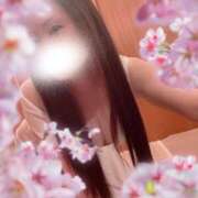 ヒメ日記 2025/03/26 22:17 投稿 響あかり ローテンブルク