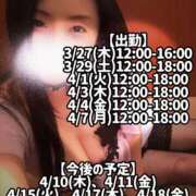 ヒメ日記 2025/03/27 10:08 投稿 響あかり ローテンブルク