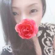 ヒメ日記 2025/04/01 01:57 投稿 響あかり ローテンブルク