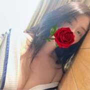 ヒメ日記 2025/04/10 10:01 投稿 響あかり ローテンブルク