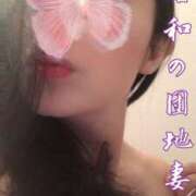 ヒメ日記 2025/04/22 00:02 投稿 響あかり ローテンブルク