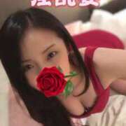 ヒメ日記 2025/04/29 23:56 投稿 響あかり ローテンブルク