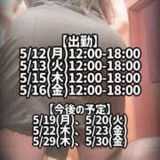 ヒメ日記 2025/05/10 16:15 投稿 響あかり ローテンブルク