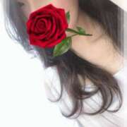 ヒメ日記 2025/05/19 11:21 投稿 響あかり ローテンブルク