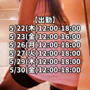 ヒメ日記 2025/05/22 10:01 投稿 響あかり ローテンブルク