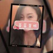 ヒメ日記 2025/09/03 00:52 投稿 響あかり ローテンブルク