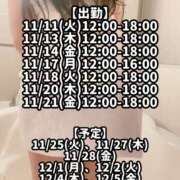 ヒメ日記 2025/11/14 10:00 投稿 響あかり ローテンブルク