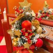 ヒメ日記 2025/11/15 00:49 投稿 響あかり ローテンブルク