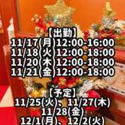 ヒメ日記 2025/11/17 10:00 投稿 響あかり ローテンブルク