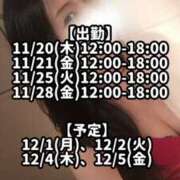 ヒメ日記 2025/11/19 22:11 投稿 響あかり ローテンブルク