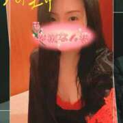 ヒメ日記 2025/11/23 00:34 投稿 響あかり ローテンブルク