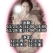 ヒメ日記 2025/11/24 23:41 投稿 響あかり ローテンブルク