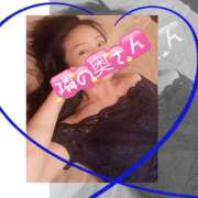 ヒメ日記 2025/12/16 23:11 投稿 響あかり ローテンブルク