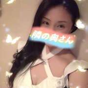 ヒメ日記 2026/02/17 06:55 投稿 響あかり ローテンブルク