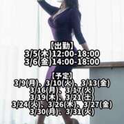 ヒメ日記 2026/03/03 23:34 投稿 響あかり ローテンブルク