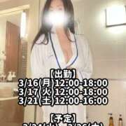 ヒメ日記 2026/03/15 22:57 投稿 響あかり ローテンブルク