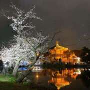 ヒメ日記 2026/04/01 23:50 投稿 響あかり ローテンブルク