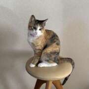 ヒメ日記 2026/01/01 11:22 投稿 つばき 梅田ゴールデン倶楽部