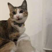 つばき つ。 梅田ゴールデン倶楽部