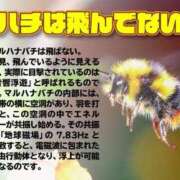 ヒメ日記 2023/09/20 18:16 投稿 マリア ドマーニ