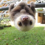 ヒメ日記 2024/12/19 08:23 投稿 なぎさ ぼいんWORK