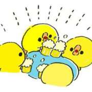 ヒメ日記 2024/12/24 10:01 投稿 風花-ふうか- ZERO