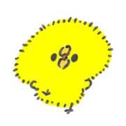 ヒメ日記 2025/02/06 08:00 投稿 風花-ふうか- ZERO