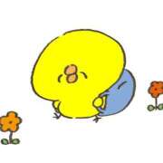 ヒメ日記 2025/03/13 13:00 投稿 風花-ふうか- ZERO