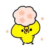 ヒメ日記 2025/04/05 12:15 投稿 風花-ふうか- ZERO