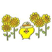 ヒメ日記 2025/07/29 08:00 投稿 風花-ふうか- ZERO