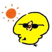 ヒメ日記 2025/08/09 12:30 投稿 風花-ふうか- ZERO