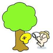 ヒメ日記 2025/08/21 08:00 投稿 風花-ふうか- ZERO