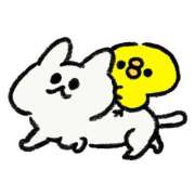 ヒメ日記 2025/08/30 08:00 投稿 風花-ふうか- ZERO