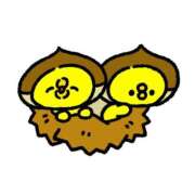 ヒメ日記 2025/10/22 10:00 投稿 風花-ふうか- ZERO