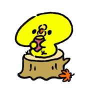 ヒメ日記 2025/10/28 08:00 投稿 風花-ふうか- ZERO